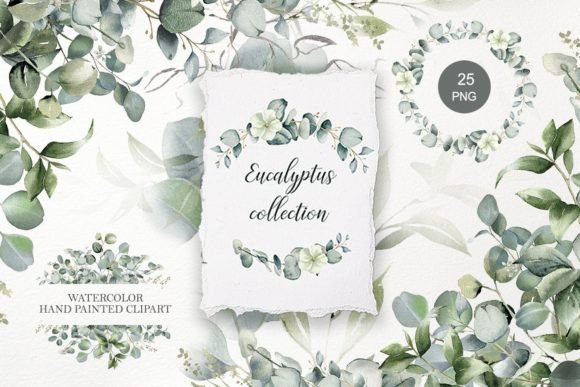 Download Eucalyptus Clipart. Watercolor Greenery - Premium Resources