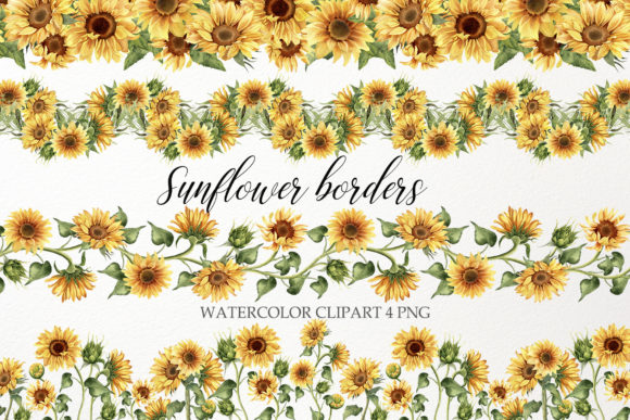 Download Sunflower Border Clipart. Watercolor PNG - Premium Resources